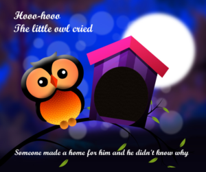 Ollie the owl a children's book | Illustration Design by edge design