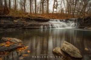 Photography by Darlene Munro