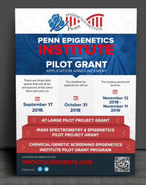 Annoucement Design for Pilot Grants | Flyer-Design von SAI DESIGNS