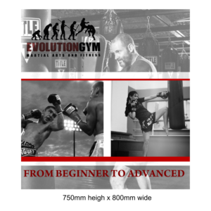 Australian Martial Arts Gym needs signage designed  | Signage Design by elveneclipse