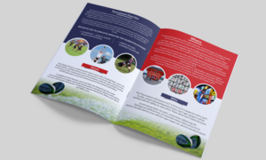 Junior Rugby Event needs 4 page Brochure | Flyer Design by ecorokerz