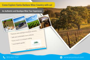 Flyer Design by MWaleedE for Wine Canyon Tours | Design #17790914