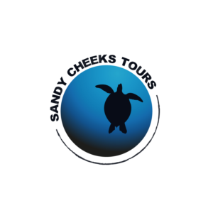 Sandy Cheeks Tours | Logo Design by Marianna K.