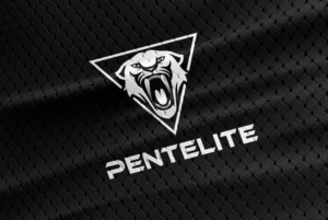 Pentelite  | Logo Design by Honey GD