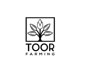 Toor  | Logo Design by renderman