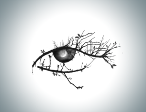 Image of an eye made of tree branches/leaves with the iris being the night sky | Graphic Design by Lezette_G