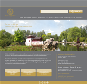 Web Design by barinix