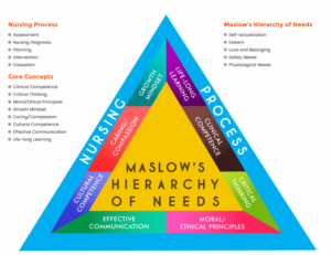 Nursing Concepts Diagram | Graphic Design by Expert Designer