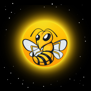 BeeComing Universe, Out of the darkness of the universe the bee emerges with the sun *. | Illustration Design by pinky