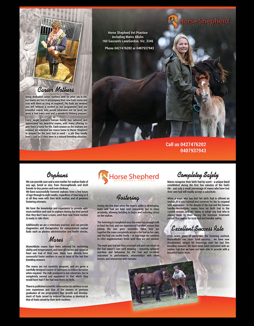 Flyer Design by NILDesigns for Horse Shepherd Park | Design #18612613