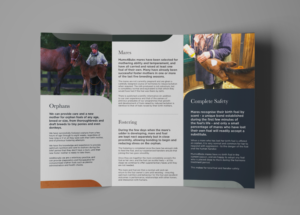 Horse Shepherd Veterinary Practice including Mums4Bubs | Flyer Design by Daniel James