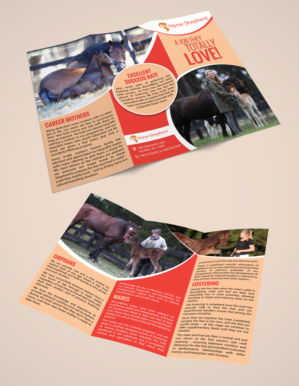 Flyer Design by Dexter Solutions for Horse Shepherd Park | Design #18624187