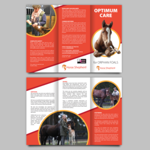 Horse Shepherd Veterinary Practice including Mums4Bubs | Flyer Design by Ashley Erasmus