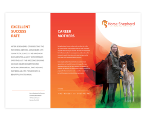 Flyer Design by dragnzz7 for Horse Shepherd Park | Design #18615084