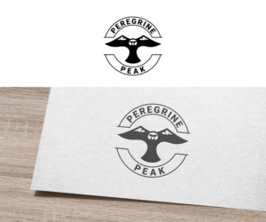 Peregrine Peak | Logo Design by VGB