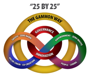 Sustainability framework graphic - 25 by 25 | Graphic Design by Riaz786