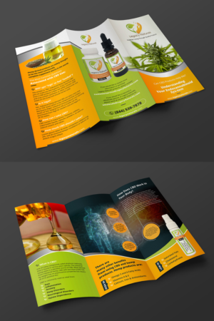 Redesign - Trifold Brochure - Adding new and fresh look. | Flyer Design by ecorokerz