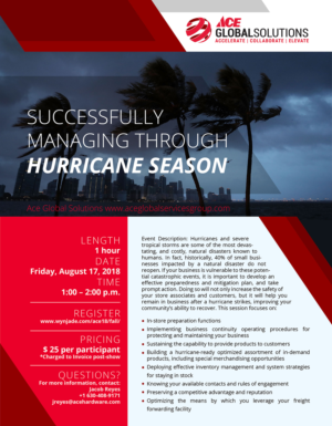 Successfully Managing through a Hurricane Training Event | Flyer-Design von Pinky 