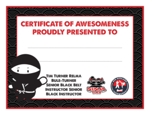 Certificate of Awesomeness NINJA TOTS | Stationery Design by andrew3344