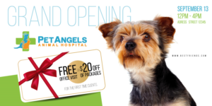 Pet Angels Animal Hospital Postcard Design | Postkarten-Design von Sarina.dsg