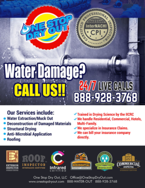 Water Damage? Call Us!! | Flyer Design by NILDesigns