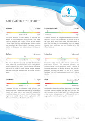 LabToWellness background design | Graphic Design by SofiaDesignStudio