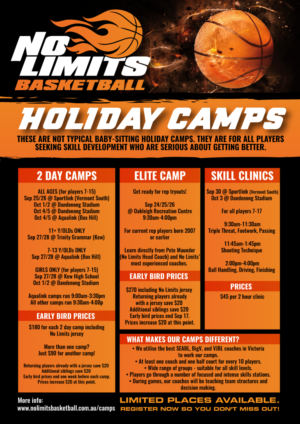 No Limits Basketball needs flyer for school holiday programs | Flyer-Design von Sergio Coelho