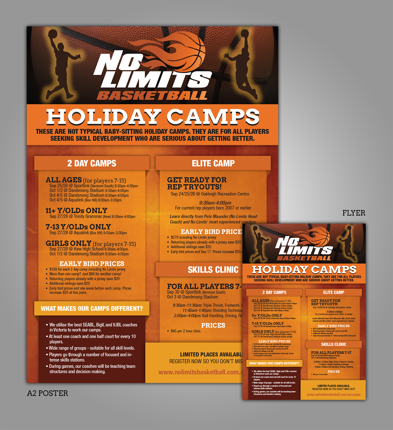 Flyer-Design von ProGravix für No Limits Basketball Services | Design #19532264