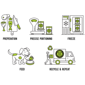 DOG FOOD MEAL COMPANY! 'How It Works'  | Graphic Design by luutrongtin89