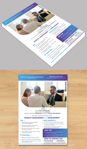 Flyer for Consulting Services (PM+Dev-Lead) | Flyer Design by ecorokerz