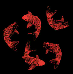 Chinese Fish Carp Lanterns for Chinese New Year | Graphic Design by schk