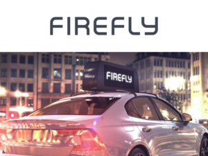 FIREFLY | Logo Design by nicholash