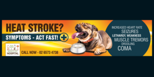 Banner for Vet Hospital 5m x 1.2m - Heat Stroke | Graphic Design by ELOISE LIND