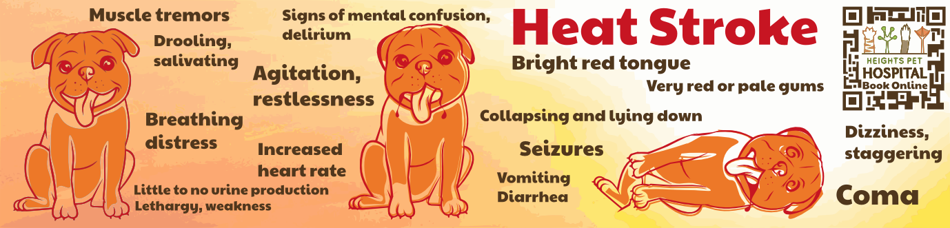 Graphic Design by design.bb for Heights Pet Hospital | Design #20341255