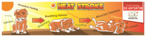 Banner for Vet Hospital 5m x 1.2m - Heat Stroke | Graphic Design by icirotrisna