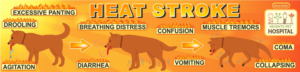 Banner for Vet Hospital 5m x 1.2m - Heat Stroke | Graphic Design by Maestroto