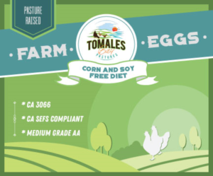 modern Egg Carton label for family pasture raised egg business- Tomales bay pastures | Graphic Design by Miketerashi