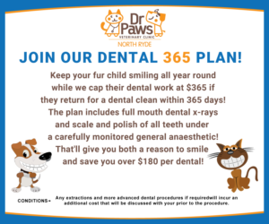 Dental Plan for Dogs | Poster-Design von cre8vpixDesign