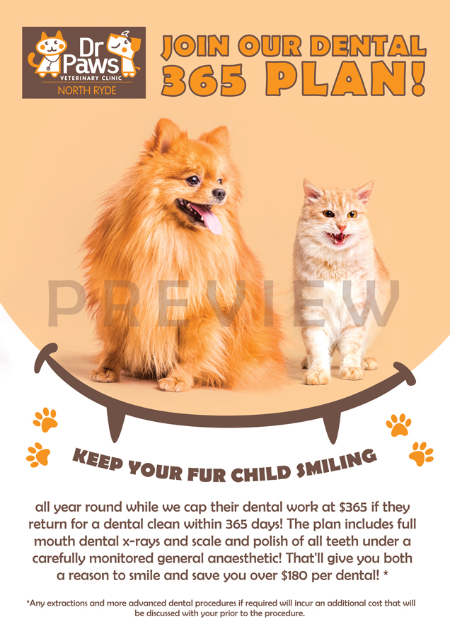 Poster Design by Alaya for Dr Paws North Ryde | Design #20494572