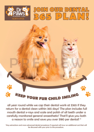 Dental Plan for Dogs | Poster-Design von Alaya