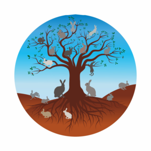  Family Tree of Hares (rabbits) | Grafik-Design von Maestroto