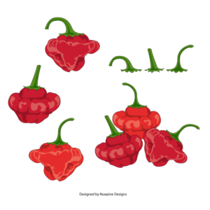 Pumpkin & Scotch Bonnet Chilli vector design for food label | Graphic Design by Nuepine Designs