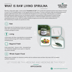 Raw Living Spirulina Square Trifold Brochure | Flyer-Design von CG PRITAM