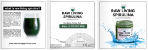 Flyer-Design von Pictorial für Raw Living Spirulina | Design #21021880