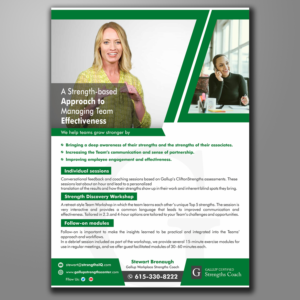 Flyer for a Business Consultant  | Flyer Design by ecorokerz