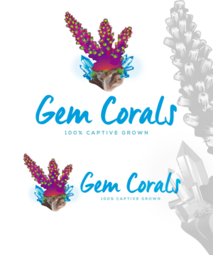 Main Title text: Gem Corals     Sub-text: 100% Captive Grown | Logo Design by StudioD™