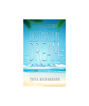 Book Cover for Destination Christmas Cruise Needed! | Graphic Design by Phouii