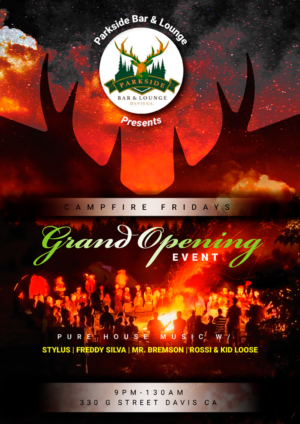 PARKSIDE LOUNGE FRIDAY MAY 3 | Flyer-Design von designgreen