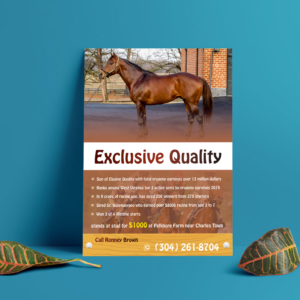 Exclusive Quality Informational Sheet | Flyer Design by ecorokerz