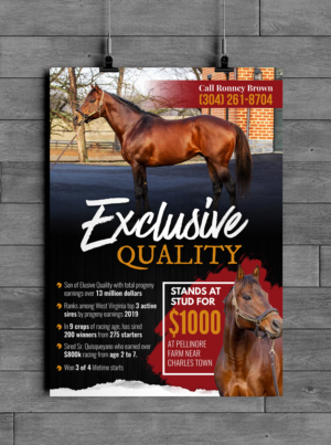 Exclusive Quality Informational Sheet | Flyer Design by SAI DESIGNS